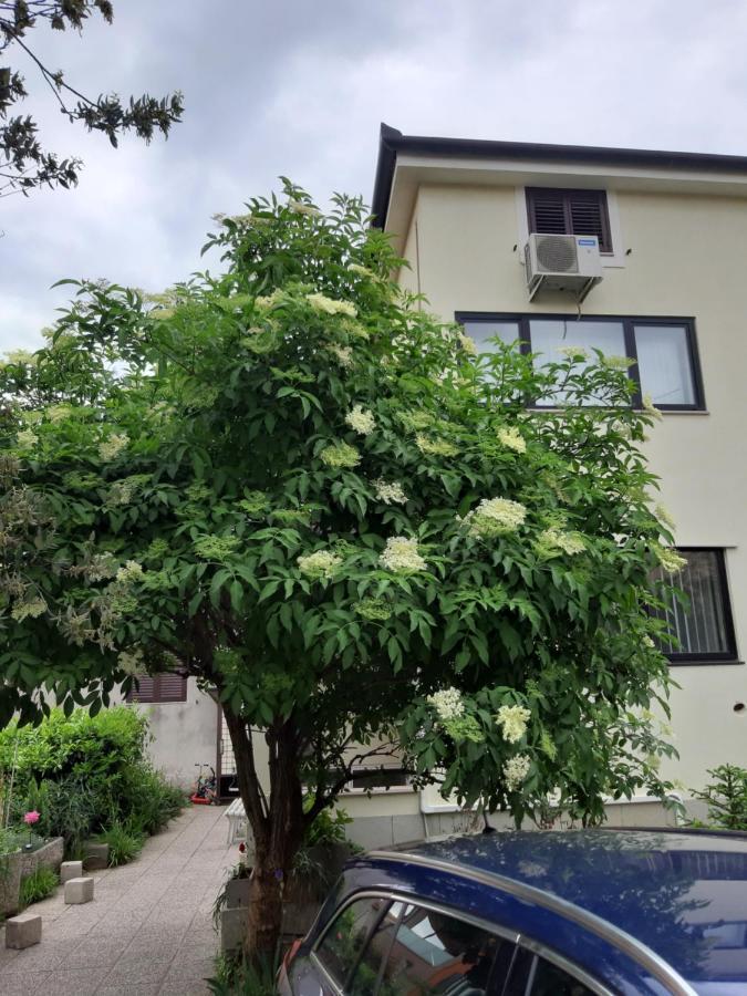 Apartma Lavela Izola Exteriör bild