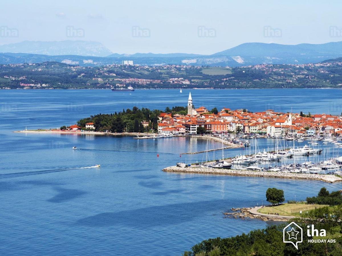 Apartma Lavela Izola Exteriör bild
